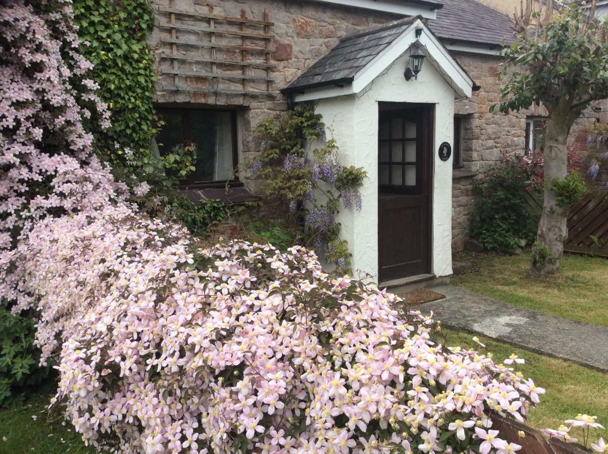 Sycamore Cottage Конві Екстер'єр фото