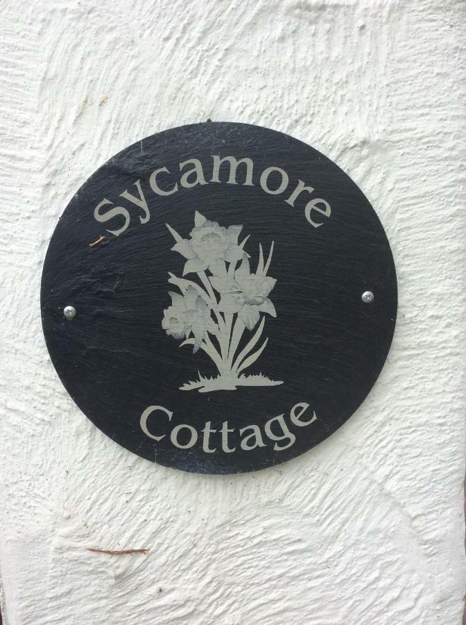 Sycamore Cottage Конві Екстер'єр фото